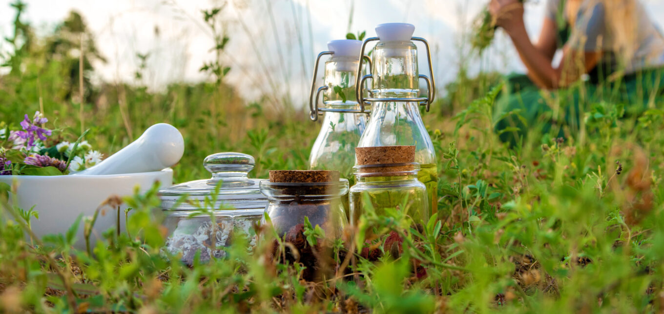 Medicinal Herb Garden: Cold and Flu – Mother Earth News - Vimarsana News